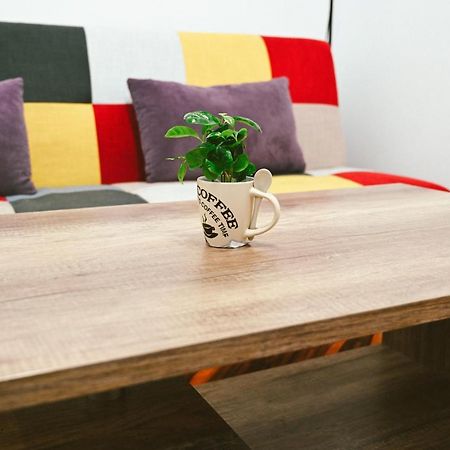 Cozy Apartment Braşov Extérieur photo