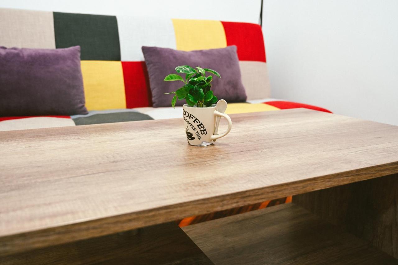 Cozy Apartment Braşov Extérieur photo