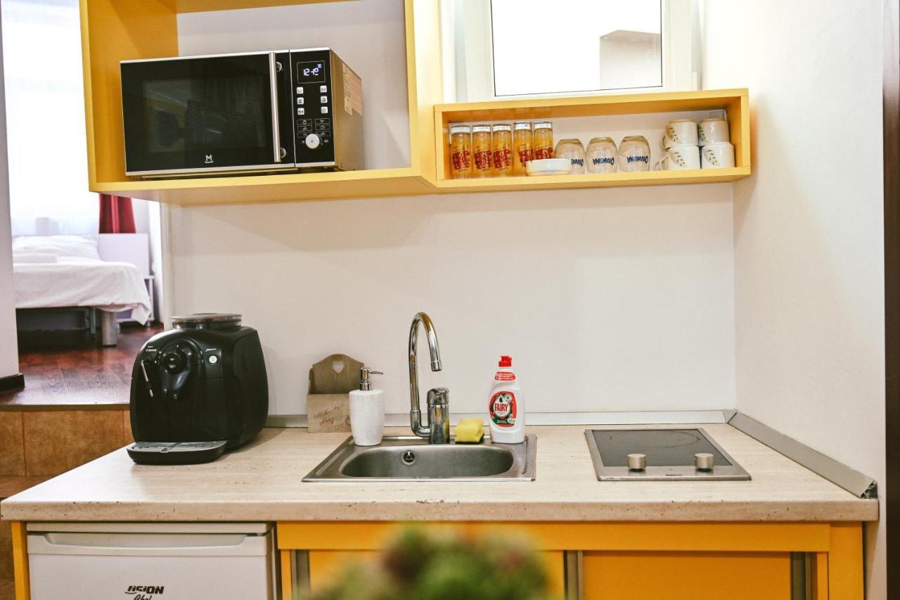 Cozy Apartment Braşov Extérieur photo