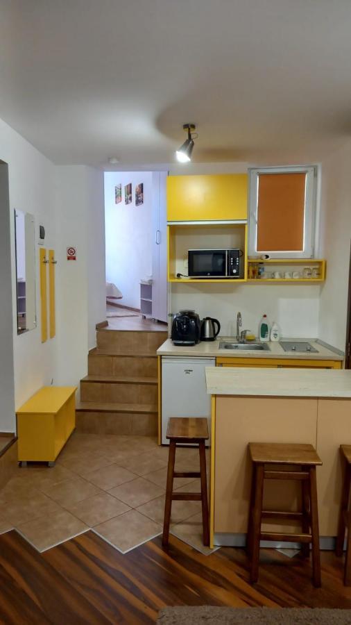 Cozy Apartment Braşov Extérieur photo